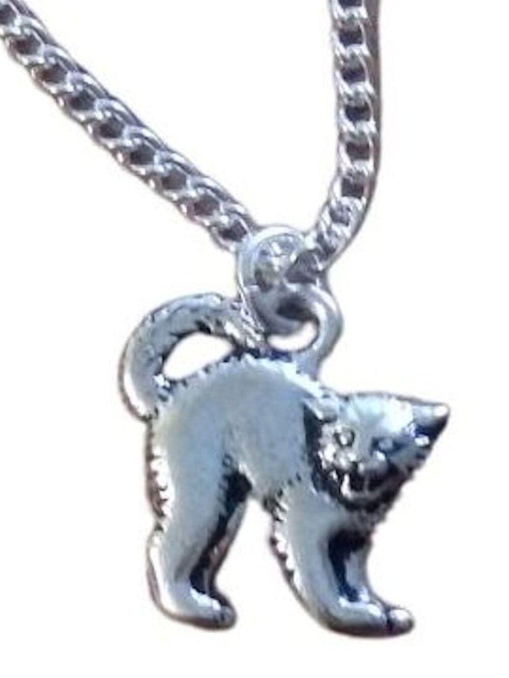 Hissing Cat Necklace 1705